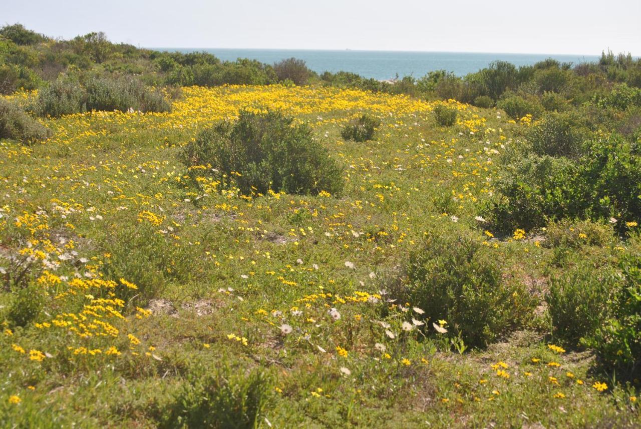 Stay At Bokkoms In Paternoster Self Catering Accommodation Exteriér fotografie