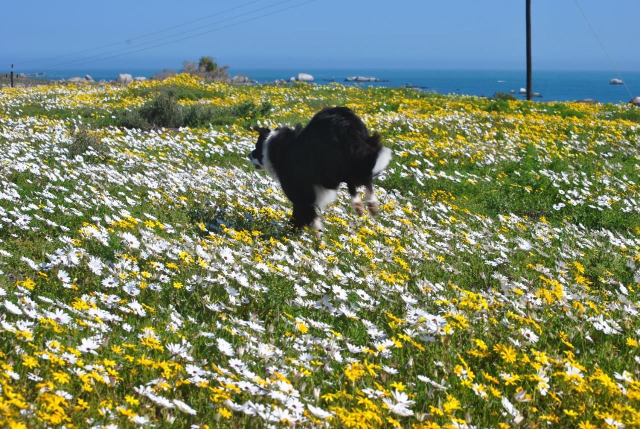 Stay At Bokkoms In Paternoster Self Catering Accommodation Exteriér fotografie