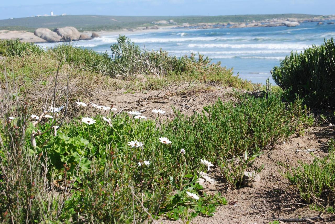 Stay At Bokkoms In Paternoster Self Catering Accommodation Exteriér fotografie