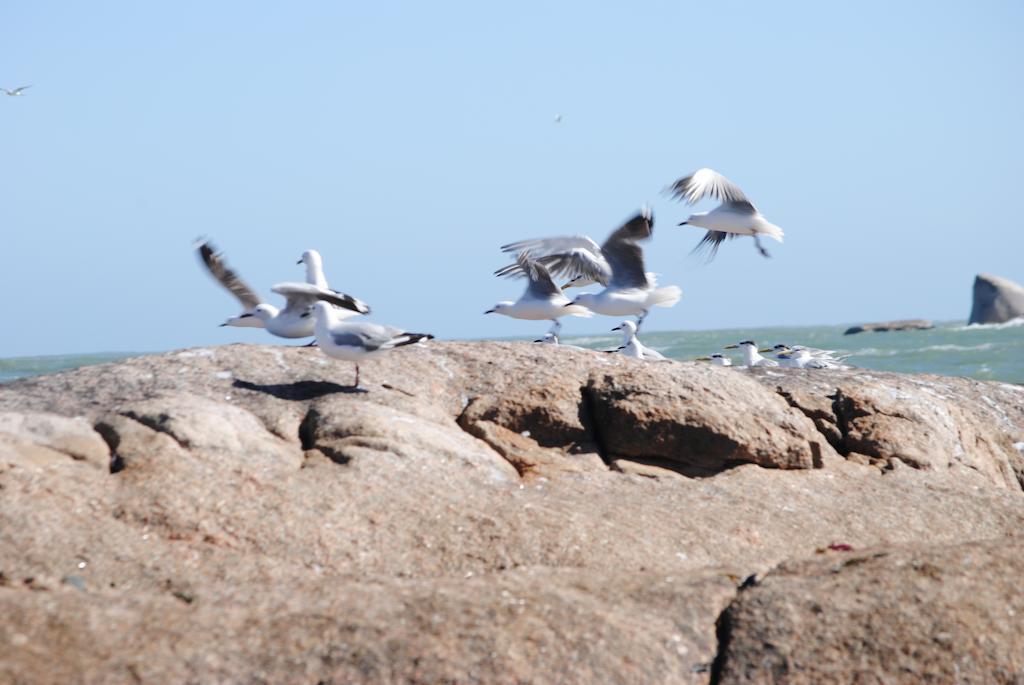 Stay At Bokkoms In Paternoster Self Catering Accommodation Exteriér fotografie