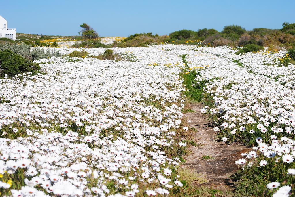 Stay At Bokkoms In Paternoster Self Catering Accommodation Exteriér fotografie